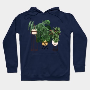 Potted Plants 12 Hoodie